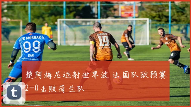 楚阿梅尼远射世界波 法国队欧预赛2-0击败荷兰队
